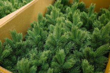 Packed artificial pine trees in cardboard boxes for seasonal decoration