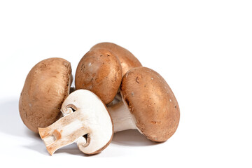 Braune Champignons in einer Nahaufnahme