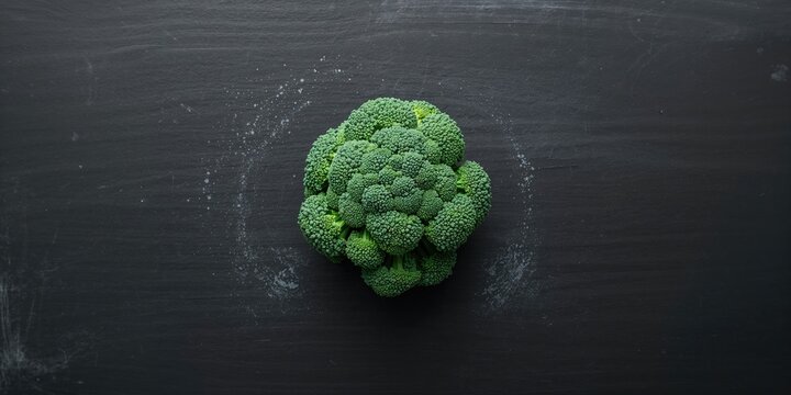 White faced capuchin monkeys in lush forest setting, emphasizing natural habitat for wildlife conservation awareness