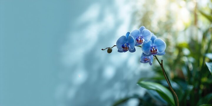 Tomato juice in a glass on a concrete surface with basil and sea salt, emphasizing fresh ingredients for culinary use