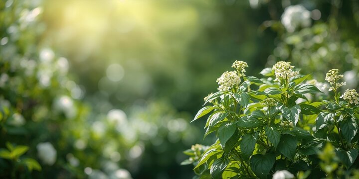 Multicolored highlighters on white background used for educational and office work, emphasizing organization and color coding