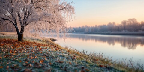 Fototapeta premium Male astronaut in zero gravity inside a space station using a smartphone to access internet content, emphasizing space technology usage