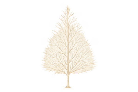 White winter tree drawing with bare branches