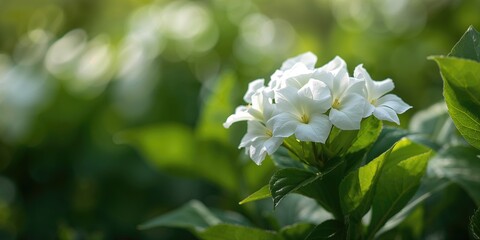 Obraz premium Black charcoal textured surface ideal for text overlay background, abstract surface design, Earth Day