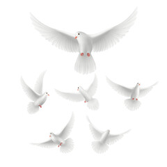 Obraz premium Symbol of Peace: A flock of serene, all-white doves soars gracefully, their wings spread wide, embodying peace and freedom.