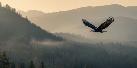 Obraz premium Senior woman engaging in online fitness training at home using a laptop, focusing on digital workout sessions