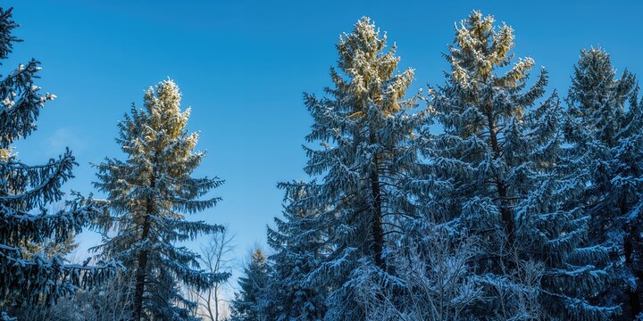 Vegetables arranged on a plain background, suitable for nutritional information or dietary planning, Nutrition Awareness Day