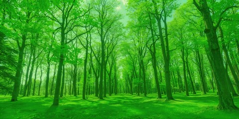 Junior developer consulting senior at desk with laptop during coding session, teamwork, software development, World Developers Day