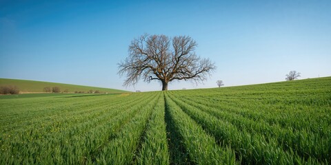 Fototapeta premium Blurred supermarket shelf filled with products during quarantine, emphasizing shopping safety measures