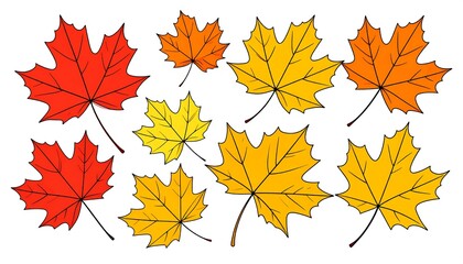 Fototapeta premium Colorful Autumn Maple Leaves Illustration for Seasonal Designs.