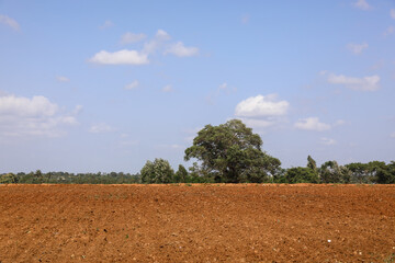 empty fram land in india