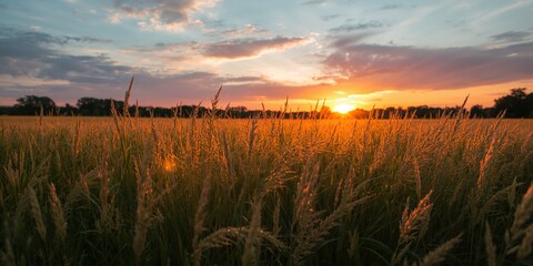 Obraz premium Lemon tart with meringue crust, used as bakery display background, World Baking Day