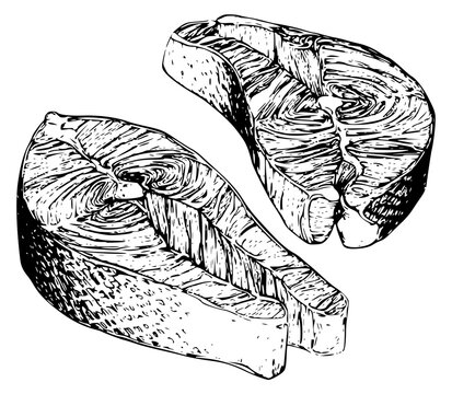 Engraved salmon steaks illustration