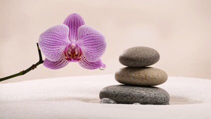 Serene arrangement of smooth stones with water droplets and a blooming violet orchid branch, promoting relaxation