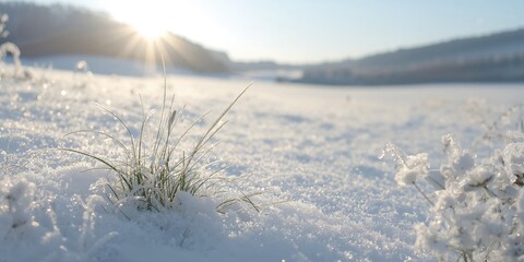 Obraz premium Steel bolts and nuts securing a heavy-duty bridge support frame, emphasizing structural connection and engineering integrity