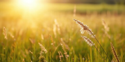 Obraz premium Close up of a red handmade heart on a wooden table, Valentineâ€™s Day background, emphasizing craft and intimacy