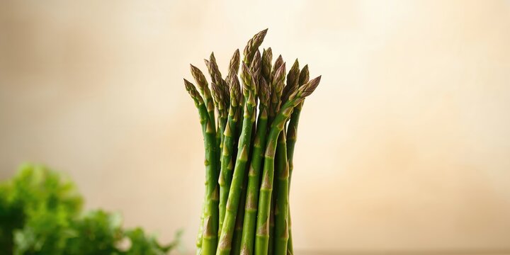 Joyful young woman engaged in stretching exercises, emphasizing flexibility and movement during a workout session
