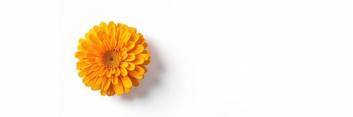 Instant noodle spicy salad bowl emphasizing bold flavors for taste testing event