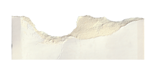torn white paper create a delicate texture against a clean, minimalist background isolated on transparent background