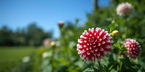 Girls in a competitive field hockey game focus on defending against an attacking boy, emphasizing teamwork and agility