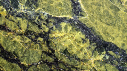 Abstract Green Marble Texture with Dark Veins, Polished Surface
