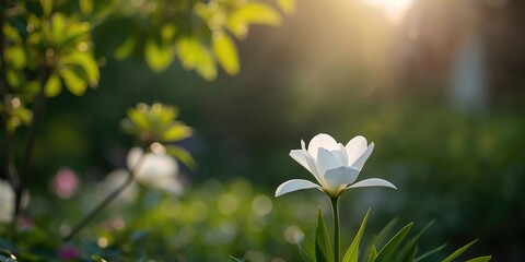 Hand-changing wooden calendar with New Year decorations, emphasizing holiday setup for celebration or event planning