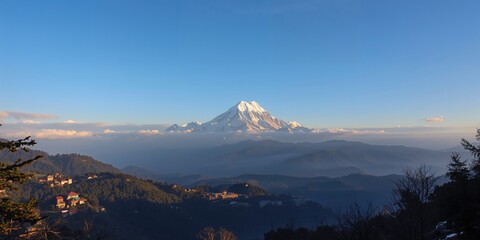 Stir Fried Shrimp Seasoned With