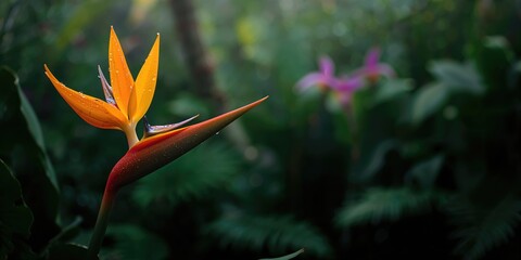 Naklejka premium Heliconia papagaio flowers in a tropical garden, emphasizing botanical beauty and lush flora, Earth Day