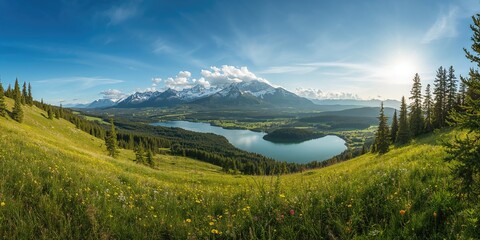Telemedicine with virtual appointments and online therapy sessions featuring a Black doctor, emphasizing healthcare access on World Health Day