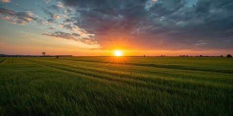 Transfer money via QR code scanning using two mobile apps at an ATM, coins floating on a purple background, digital transaction process
