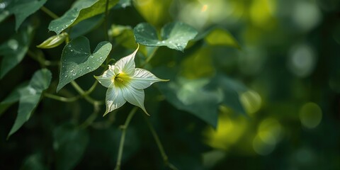 Naklejka premium Spring flowers spread across the ground in full bloom, ideal for background design and seasonal layouts