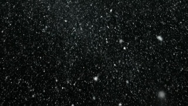 Complete darkness, a pure black background with no detail visible.