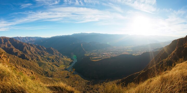 Banana tree shoots emerging from the stump, illustrating natural regrowth and plant maintenance processes