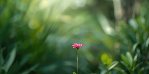 Closeup of a lush green plant showing detailed leaf texture, emphasizing environmental preservation awareness