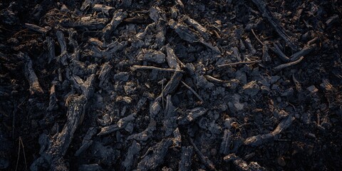 Semi trailer trucks moving cargo containers at a busy port, emphasizing freight logistics and transport efficiency