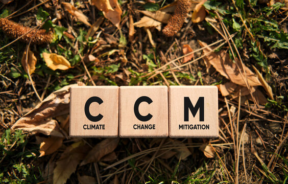 Climate Change Mitigation concept on wooden blocks outdoors