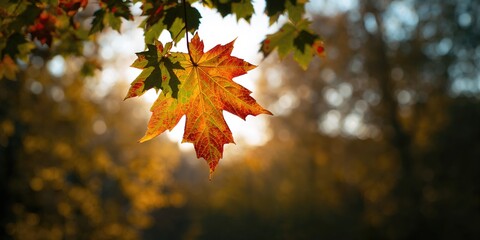 Panels buildings in Russia, urban density emphasizing Soviet-era architecture, Earth Day