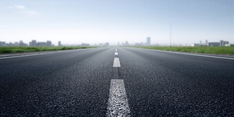 Red squirrel in lush forest during summer, focused on foraging, emphasizing natural habitat and seasonal activity