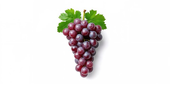Cloudy sunset over the Cedar of Lebanon, a symbol of the Langhe region in Italy, emphasizing seasonal weather conditions