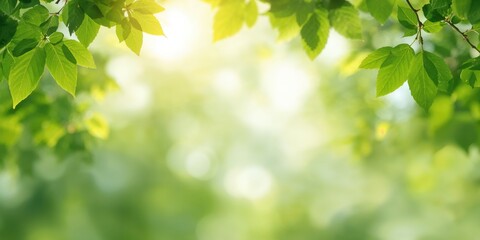 Blurred background of minimalistic gym setup with dumbbells and yoga mat, serving as a background for fitness routines