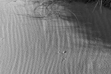 Ripples and shadows across wind-shaped sand in black and white