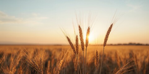Close-up of a vintage motorcycle on a forest road with a lone rider, emphasizing travel and speed, Earth Day