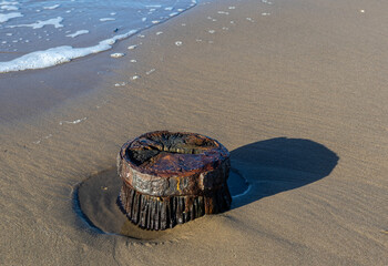 Weathered wooden post surrounded by surf and foam on wet sand