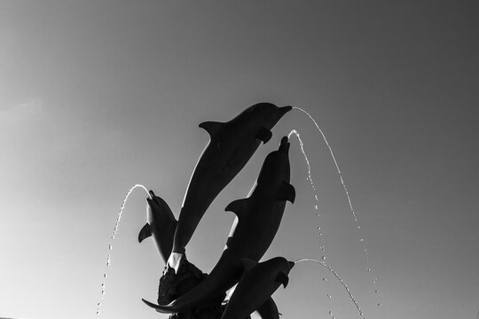 Dolphin fountain sculpture with arcing water jets in black and white - Powered by Adobe