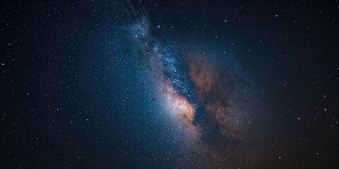 Fototapeta premium Cane and reed seeds on a white background for botanical study, seasonal planting awareness