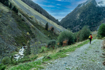 Person is walking on a dirt road in the mountains. The road is surrounded by trees and a river