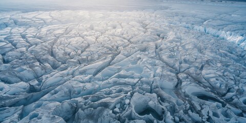 Sanitary napkin with lilac flower on pink background, emphasizing feminine hygiene products for health awareness