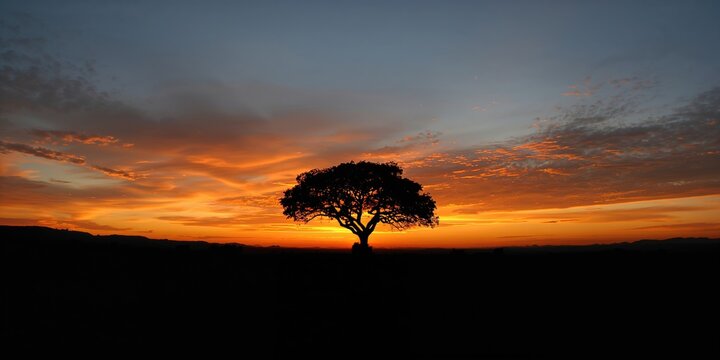 Notebook with school supplies arranged on a desk, serving as a background for educational material and organization, World Teachers' Day