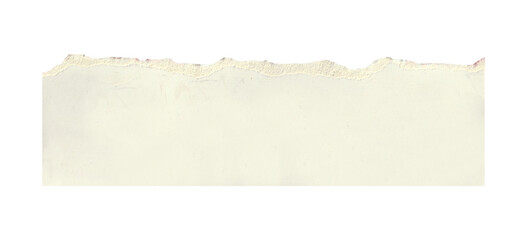torn white paper create a delicate texture against a clean, minimalist background isolated on transparent background
