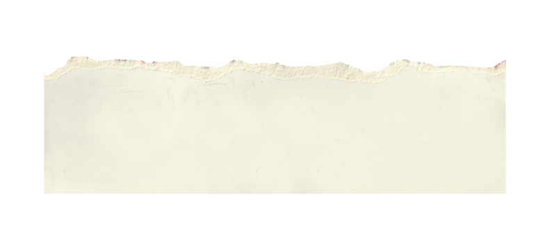 torn white paper create a delicate texture against a clean, minimalist background isolated on transparent background